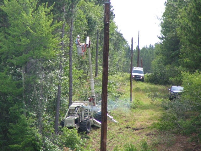 Tree contractors clearing trees in the electric right of way