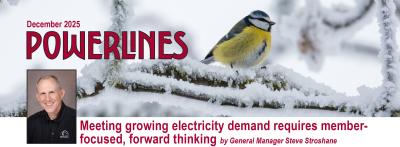 December 2025 Powerlines cover