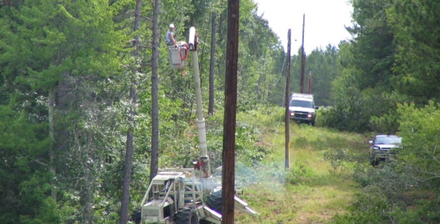 Tree contractors clearing trees in the electric right of way